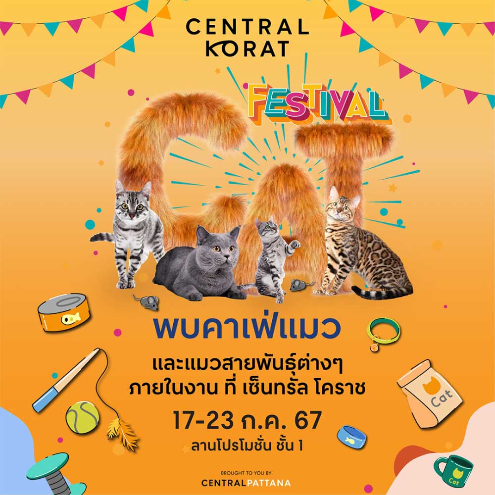 Cat Festival